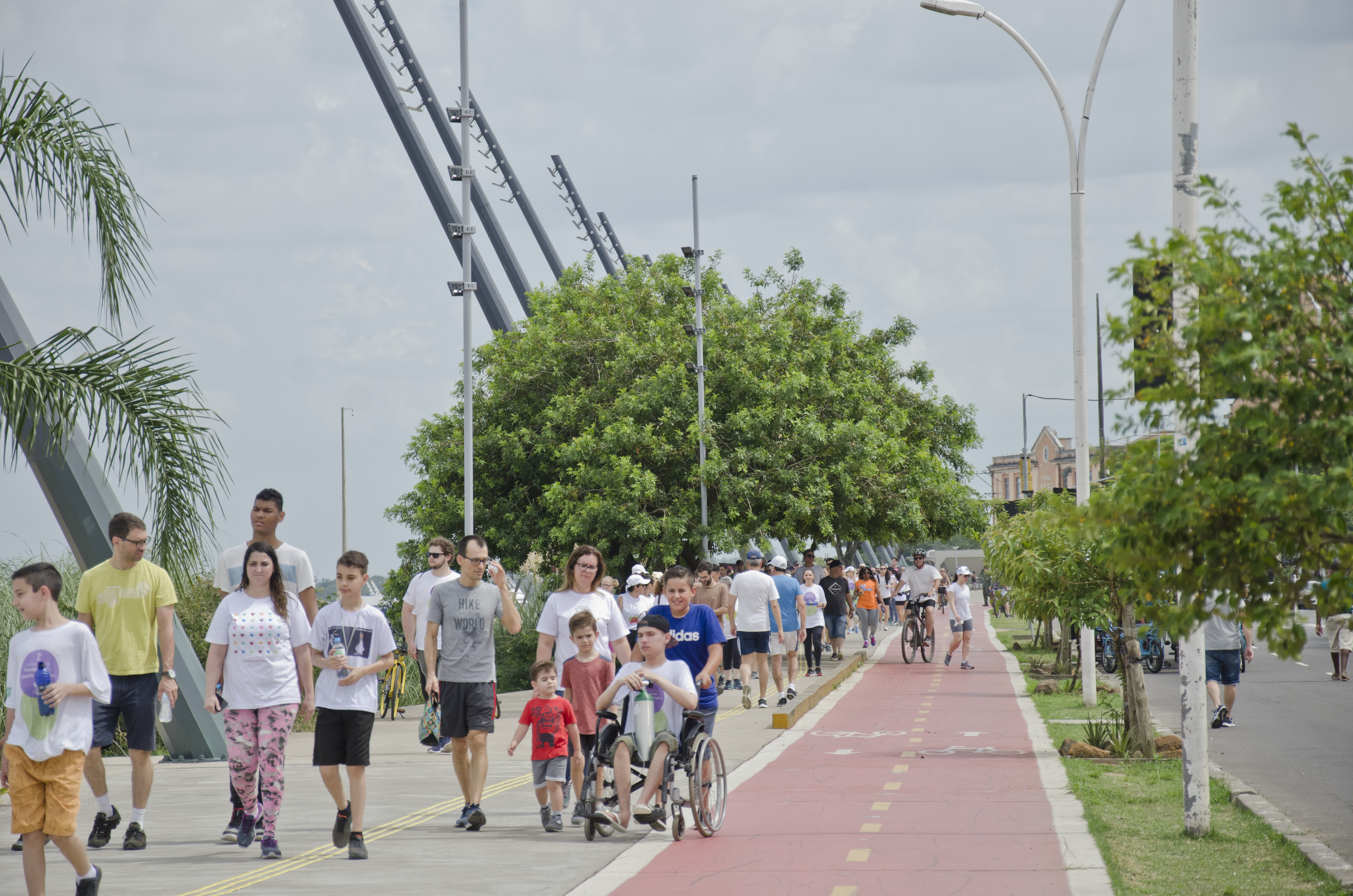 i caminhada dos transplantes 30.11 36